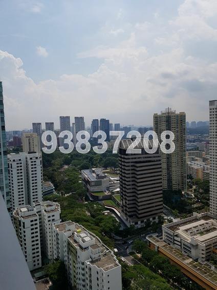 Highline Residences (D3), Condominium #174031292